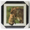 Image 1 : 3D LENTICULAR FRAMED HOLOGRAM WALL ART - LIONESS & CUB