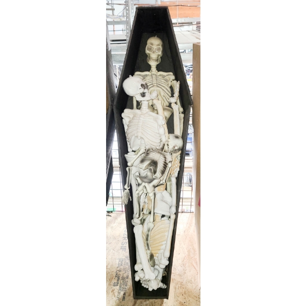 HALLOWEEN COFFIN W/ ASST SKELETONS & LID 