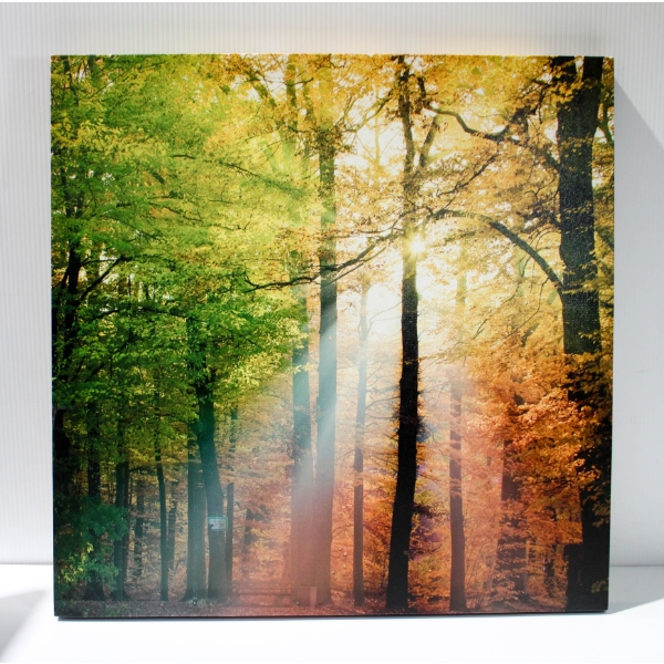 19 3/4" X 19 3/4" GIFTCRAFT NATURE CANVAS PRINT