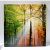 Image 1 : 19 3/4" X 19 3/4" GIFTCRAFT NATURE CANVAS PRINT