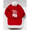 Image 1 : NEW PAPA BEAR CAP