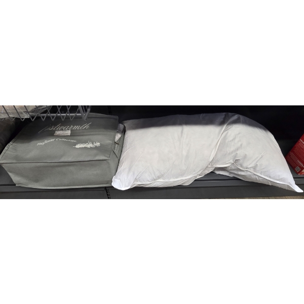 TWO 22X36" GOOSE DOWN PILLOWS