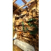 Image 1 : LUMBER CUT FOR FIREWOOD ROUGHLY 1.5 CORD
