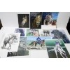 Image 1 : 11 CRAIG WONNACOTT HORSE WALL ART PRINTS