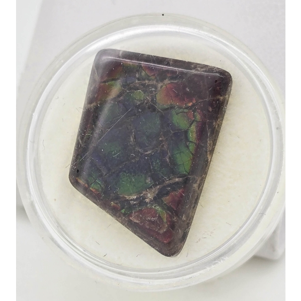 AMMOLITE GEMSTONE - 22MM X 16MM