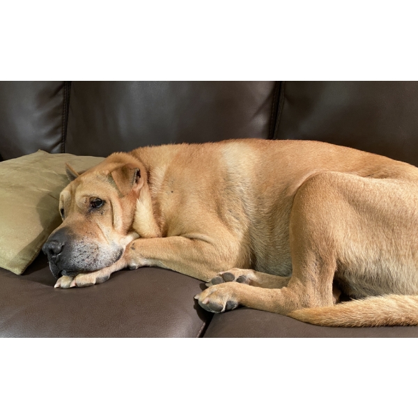 DON'T SNOOZE ON THIS SALE - LOTS MAY BE ADDED UP UNTIL AUCTION DAY!