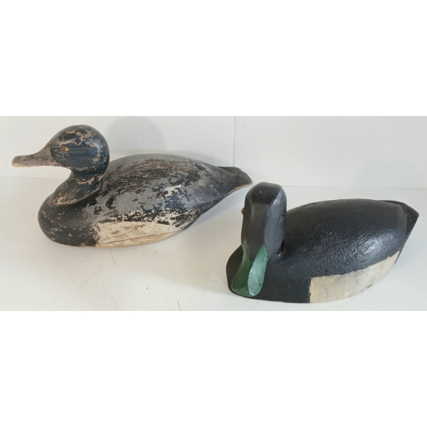 LOT OF 2 - GOLDEN EYED DECOY DUCKS