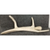 Image 2 : DANCING HUMAN BY UNKNOWN ARTIST - BONE