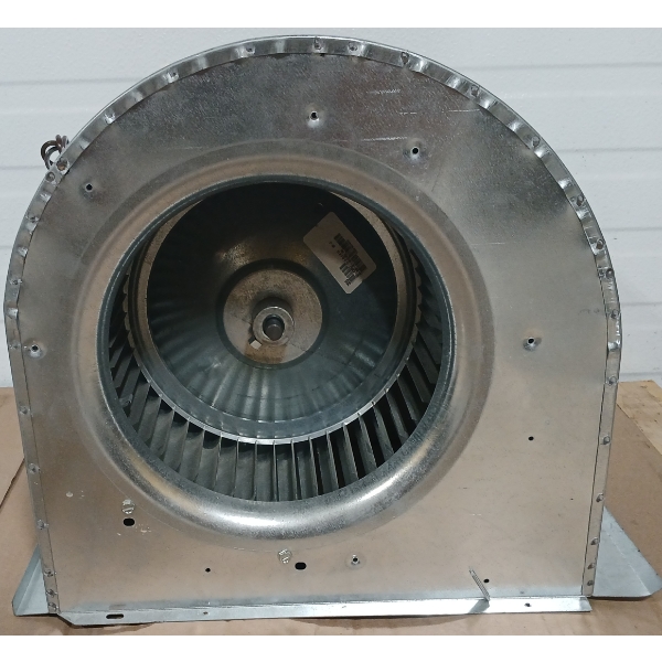 10IN 3 SPEED SQUIRREL FAN