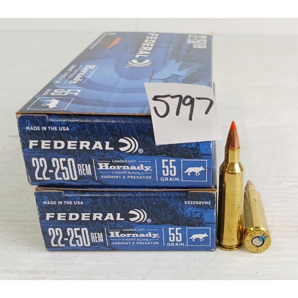 AMMO: 40X FEDERAL .22-250REM - 55GR