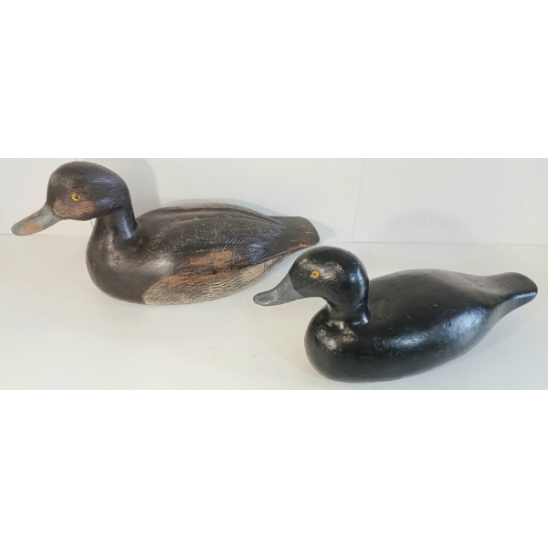 LOT OF 2 - GOLDEN EYED DECOY DUCKS