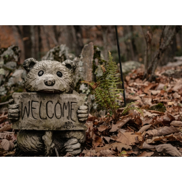 WELCOME BACK - WE COULD 'BEAR-LY' CONTAIN OUR EXCITEMENT!