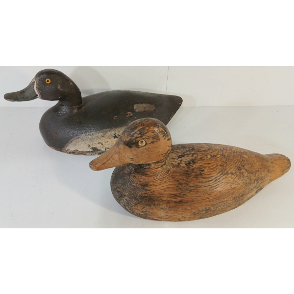LOT OF 2 - GOLDEN EYED DECOY DUCKS