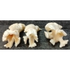 Image 8 : LOT OF 3 - SPIRITUAL FIGURES - SIGNED - BONE