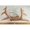 Image 3 : LOT OF 2 - LEATHER SHOT SHELL BELT & PRIMOS DECOY ANTLERS