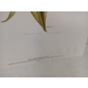 Image 2 : LOT OF 2 - "SPRING CAMEO COLLECTION" BY CHRISTINE MARSHALL (PRS CDN ARTIST) - LITHO PRINTS