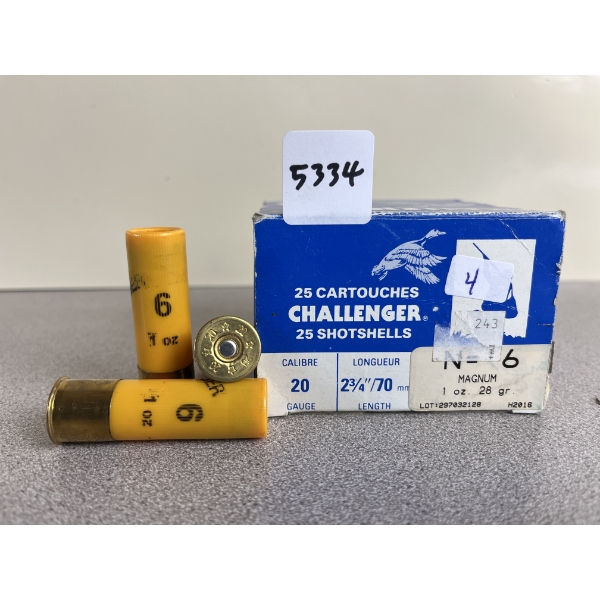 AMMO: 25X CHALLENGER 20 GA 2-3/4IN 1OZ NO6