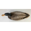 Image 5 : MALLARD DUCK DECOY