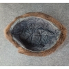 Image 6 : TRAPPER'S MUSCRAT FUR HAT - QUILT LINED & WOOL FELT
