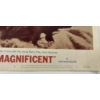 Image 7 : LOT OF 3 - 1966 "MARCO, THE MAGNIFICENT" STUDIO CARDS