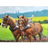 Image 2 : "BELGIANS NO 2." BY DOUG A. DUNFORD ( PRS CDN ARTIST) - FRAMED ACRYLIC ON CANVAS