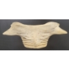 Image 6 : BOAR HEAD - SIGNED - BONE