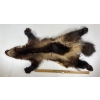 Image 1 : ALASKIAN WOLVERINE - VERY GOOD CONDITION