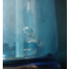 Image 8 : ENTREPOT DE BIERES A. TISSERAND - BLUE ACID-ETCHED - SELTZER BOTTLE