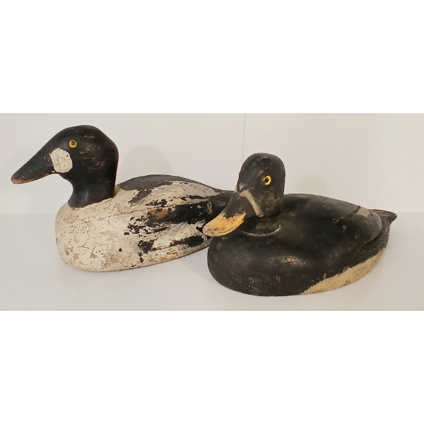 LOT OF 2 - GOLDEN EYED DECOY DUCKS