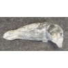 Image 7 : BEAR TO SEAL TRANSFORMATION - SIGNED - STONE