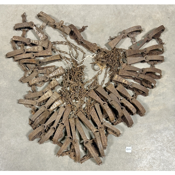 LOT OF 34 - NO. 1 LONG SPRING FOOTHOLD ANIMAL TRAPS