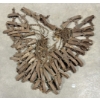 Image 1 : LOT OF 34 - NO. 1 LONG SPRING FOOTHOLD ANIMAL TRAPS