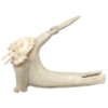 SPIRIT BY PETER MORGAN - BONE