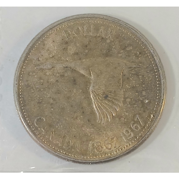 1967 CDN SILVER DOLLAR - CCCS GRADED