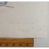 Image 5 : "GENTLE MOMENTS - HARP SEALS" BY CHRISTINE MARSHALL (PRS CDN ARTIST) - LITHO PRINT