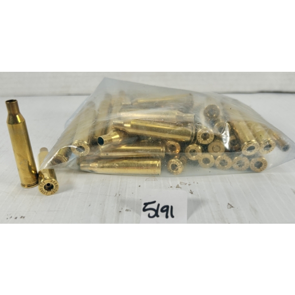 BRASS: 50X HORNADY .220 SWIFT 