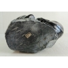 Image 12 : MAN FIGHTING SEAL BY AIBILIE ECHALOOK (PRS CDN ARTIST) - STONE 