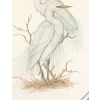 Image 2 : "GREAT WHITE EGRETS" BY CHRISTINE MARSHALL (PRS CDN ARTIST) - FRAMED PRINT 
