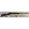 Image 3 : WINCHESTER MODEL 1876 IN .45-60 