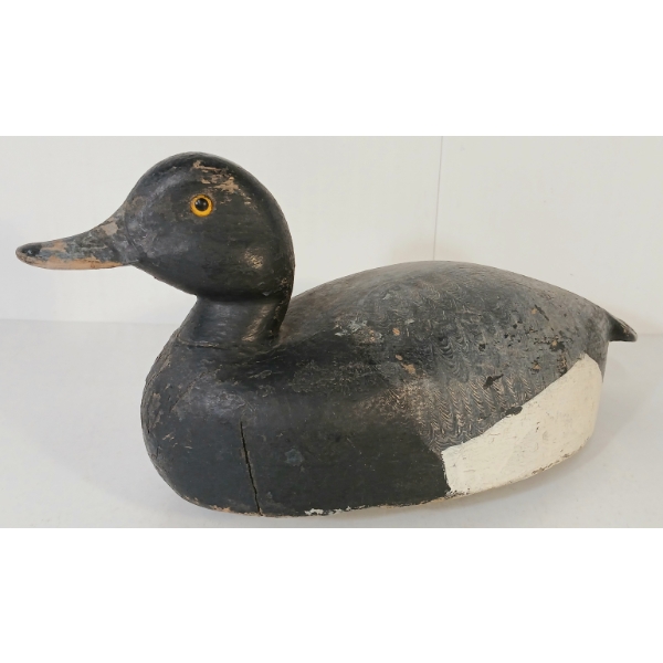 GOLDEN EYED DECOY DUCK