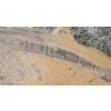 Image 2 : GOODYEAR TIRE ON RIM - 28L - 26