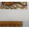 Image 2 : "COOL WATERS - BEAVER" BY CHRISTINE MARSHALL (PRS CDN ARTIST) - LITHO PRINT