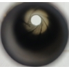 Image 4 : .45 SAA COLT BARREL