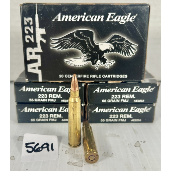AMMO: 100X FEDERAL .223 REM - 55 GR FMJ