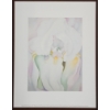 Image 6 : LOT OF 6 - MISC PRINTS BY GEORGIA O'KEEFEE (1887 - 1986) - INCL "WHITE TRUMPET FLOWER," ETC
