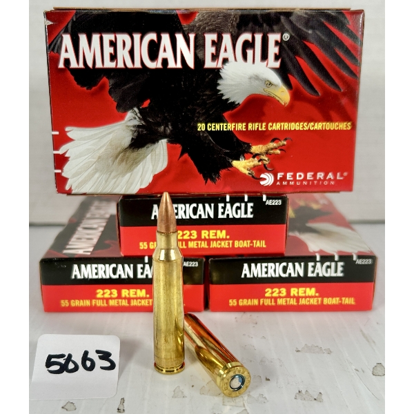 AMMO: 80X FEDERAL .223 REM - 55GR FMJ