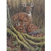 Image 2 : DOES BY CHRISTINE MARSHALL (PRS CDN ARTIST) - FRAMED PRINT