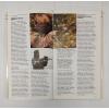 Image 2 : LOT OF 4 - FIREARMS PUBLICATIONS - INCL ANTIQUE GUNS & RIFLES AND AUTOMATIC WEAPONS, ETC