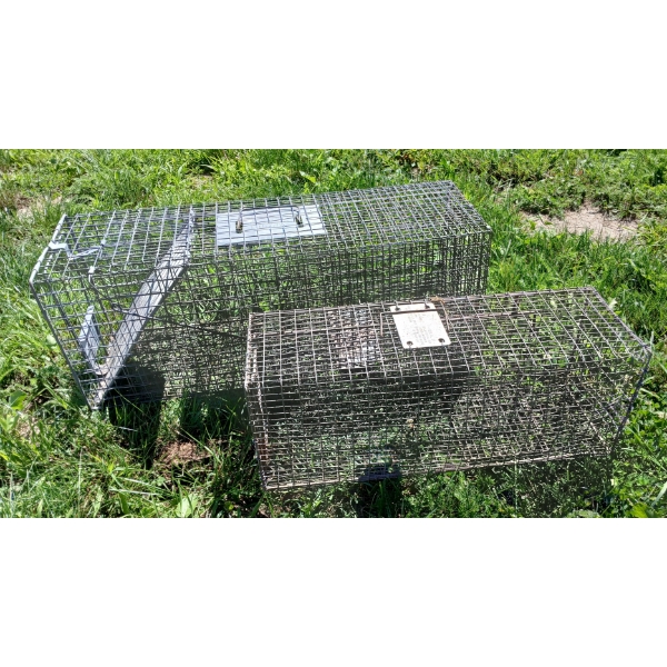 LOT OF 2 - LIVE TRAPS