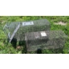 Image 1 : LOT OF 2 - LIVE TRAPS